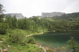 Steirersee südufer 51309 2017-06-24.jpg