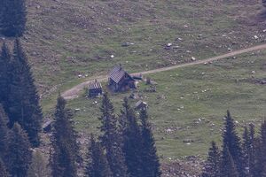 Sulzkaralm-400-2020-05-18.jpg