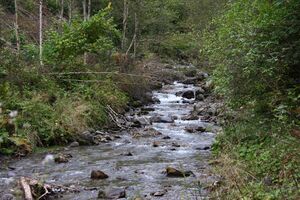 Teufelsschlucht Seewigtal 73312 2014-10-02.jpg