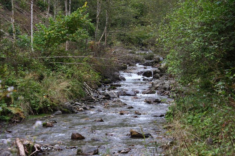 Datei:Teufelsschlucht Seewigtal 73312 2014-10-02.jpg