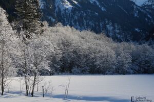 UntertalIMG 6783.jpg