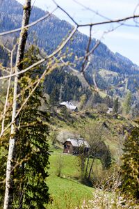 Vlg.kreischbichler burgfried-300228-2023-05-04.jpg