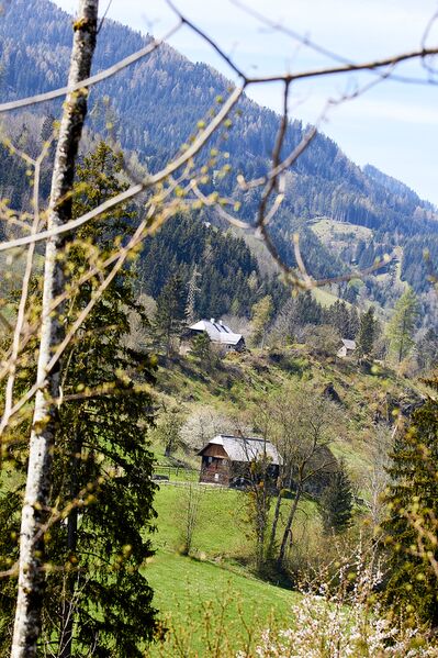 Datei:Vlg.kreischbichler burgfried-300228-2023-05-04.jpg