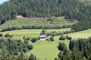 Vlg asinger sonnberg-0239-2023-08-11.jpg