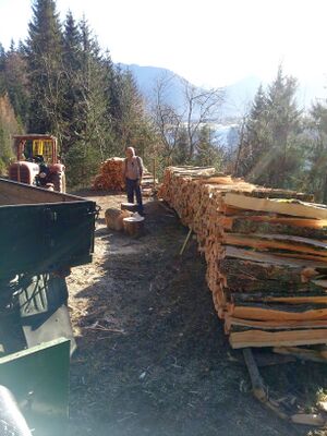 2011-11-19 13.14.48.jpg