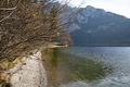 Altausseer See 78856 2014-11-15.jpg