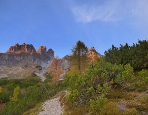 Bischofsmütze mosermandl001.JPG