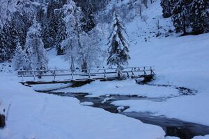 Bodensee 26620 2014-01-01.jpg