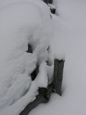 Hoferalm 46925 2006-02-27.jpg