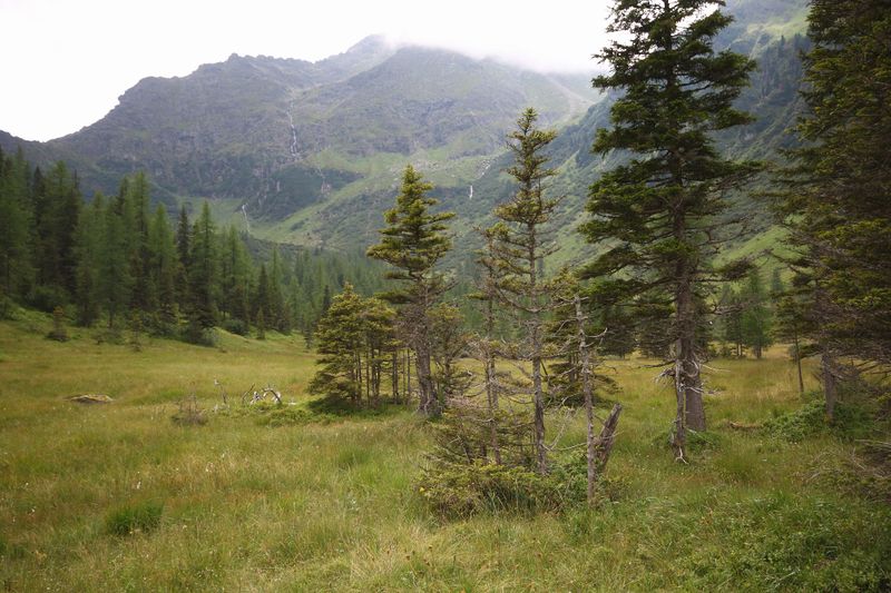 Datei:Knallkar großsölk 55656 2016-08-17.jpg