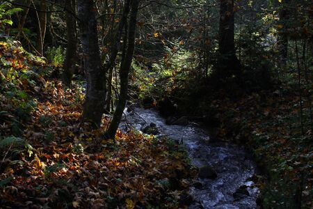 Lengdorferbach 10962 2015-10-27.jpg