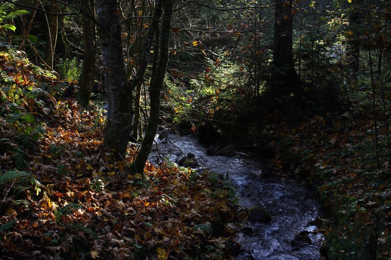 Datei:Lengdorferbach 10962 2015-10-27.jpg