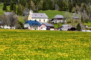 Pfarrkirche St. Martin-30-2023-04-30-2.jpg