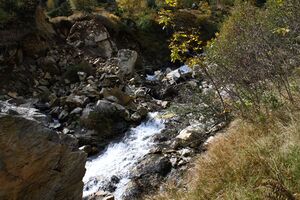 Säusenbach kleinsölk 73699 2014-10-03.jpg