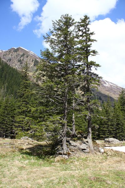 Datei:Strickerkar 55624 2014-05-02.jpg