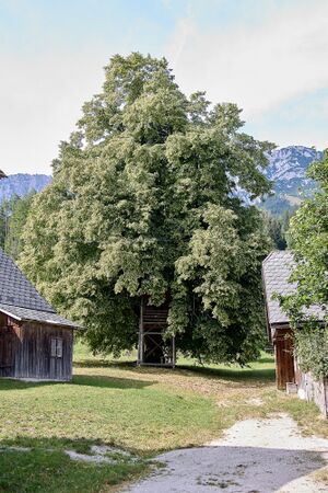 Vlg. Schörkmaier gröbming-0205-2023-08-27.jpg