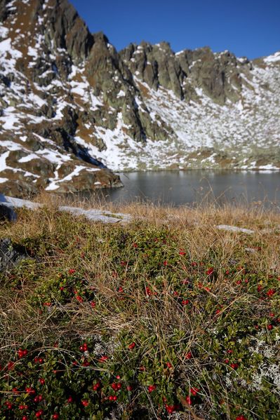 Datei:Weißensee knallstein 36421 2011-10-18.jpg