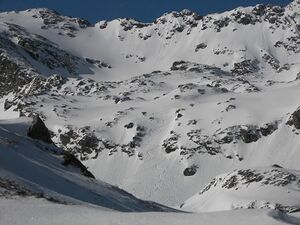 Wildkar 2505 2007-03-05.jpg