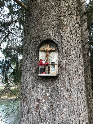 BST Admont ennsradbrücke-30-2021-10-31.jpg