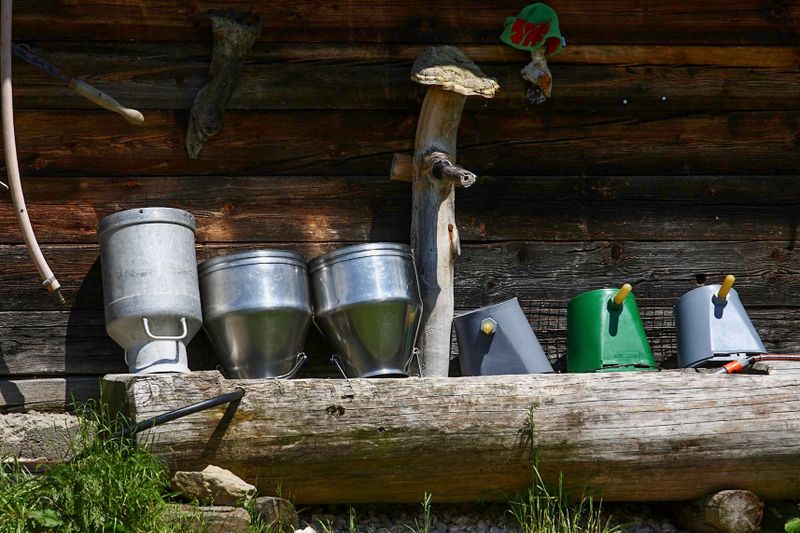 Datei:Beireutalm 90063 2015-06-08.jpg