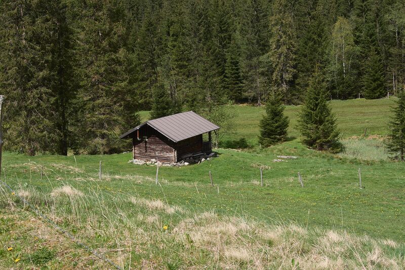 Datei:Granglalm untertal-0052-2024-05-02.jpg