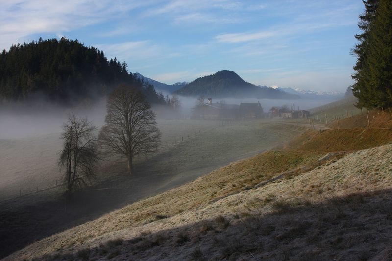 Datei:Halseralm-rittis 80042 2014-12-05.jpg