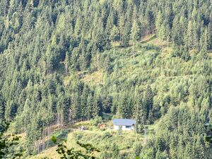 Holzrieser schattenberg-0217-2023-08-25.jpg