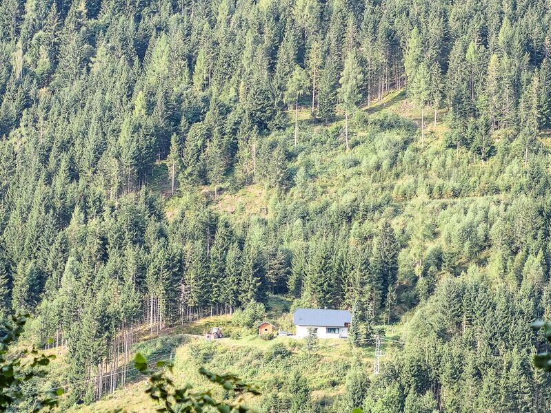 Datei:Holzrieser schattenberg-0217-2023-08-25.jpg