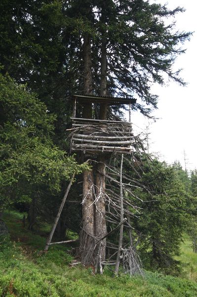 Datei:Knallkar großsölk 55626 2016-08-17.jpg