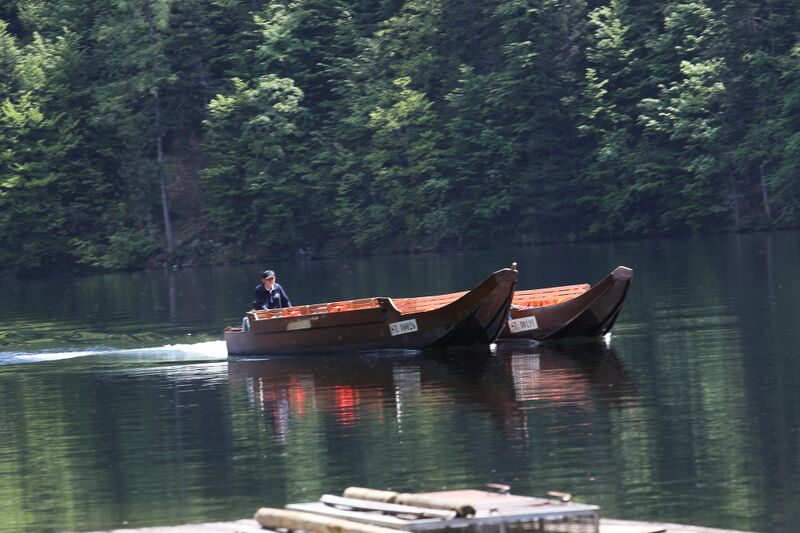 Datei:Plätte Toplitzsee-51-2017-05-17.jpg
