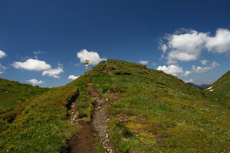 Datei:Plannerknot 73986 2014-06-26.jpg