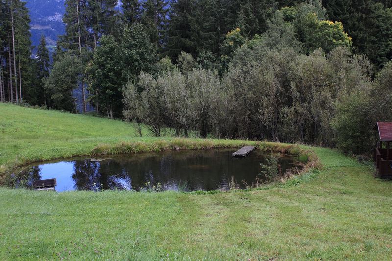 Datei:Salleitner Oberhausberg 57536 2017-09-15.jpg