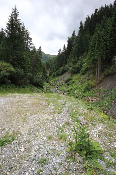 Datei:Stillbachgraben oppenberg 78034 2018-06-11.jpg