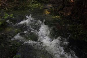 Strummern mühlreith 47221 2017-05-17.jpg