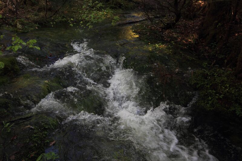 Datei:Strummern mühlreith 47221 2017-05-17.jpg
