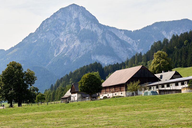 Datei:Vlg. Schörkmaier gröbming-0179-2023-08-27.jpg