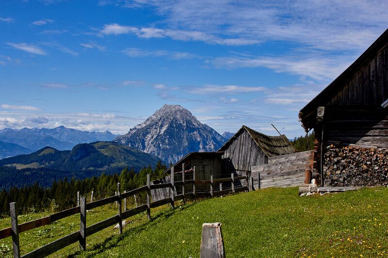 Datei:Bärenfeichtenalm-3163-2021-08-03.jpg