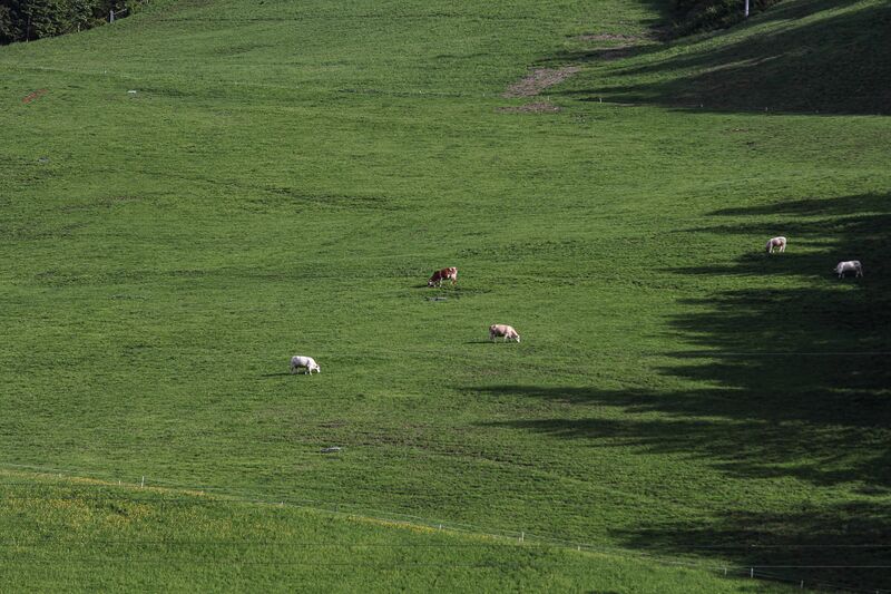 Datei:Finale grande gleiming-12-2018-05-20.jpg