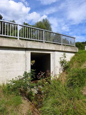 Gansenbergerbachbrücke0825.JPG