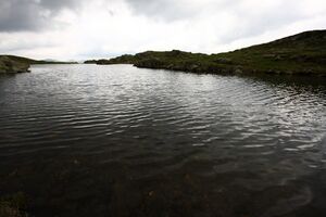 Grubersee katschtal 0019 13-07-15.jpg