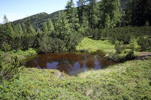 Gumpenkar 53185 2017-07-05.jpg