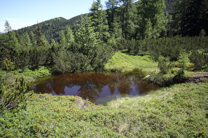 Datei:Gumpenkar 53185 2017-07-05.jpg