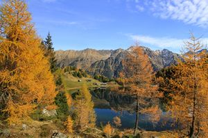 Herbst am Duisitzkarsee.jpg