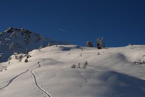 Hollermahd 2836 2007-11-28.jpg