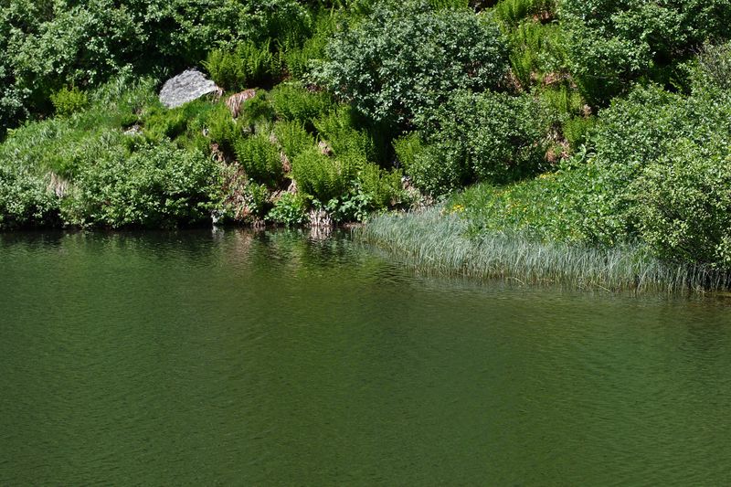 Datei:Plannersee 65303 2014-06-26.jpg