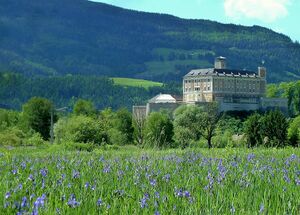 Schwertlilienwiese bei Trautenfels01.JPG