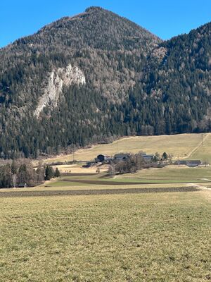 Tachenberger moos Aigen-0033-2025-03-20.jpg