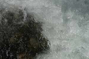 Talbachklamm 7958 2008-05-27.jpg