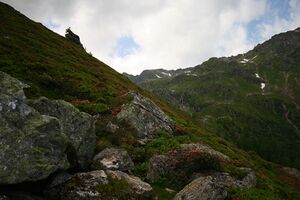 Wildkar 1928 2008-06-26.jpg