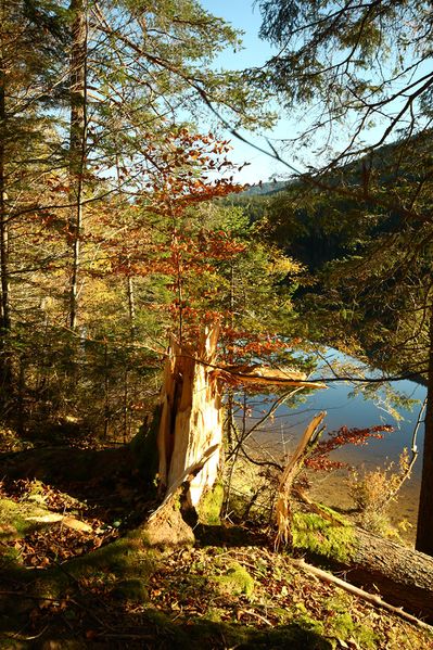 Datei:Ödensee 77966 2014-11-03.jpg